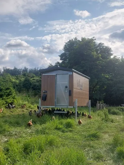 Hühnerstall mobil