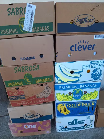 Räumung altes Bauernhaus, Flohmarkt Karton um € 5,-, Schi