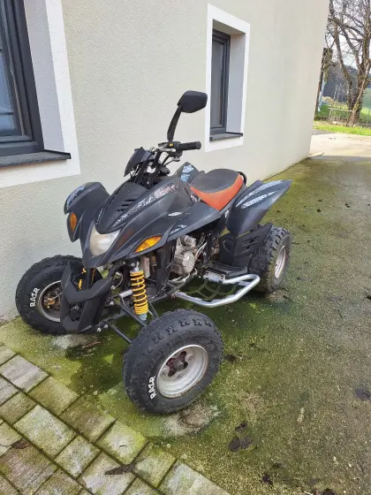 Quad Dinli 450