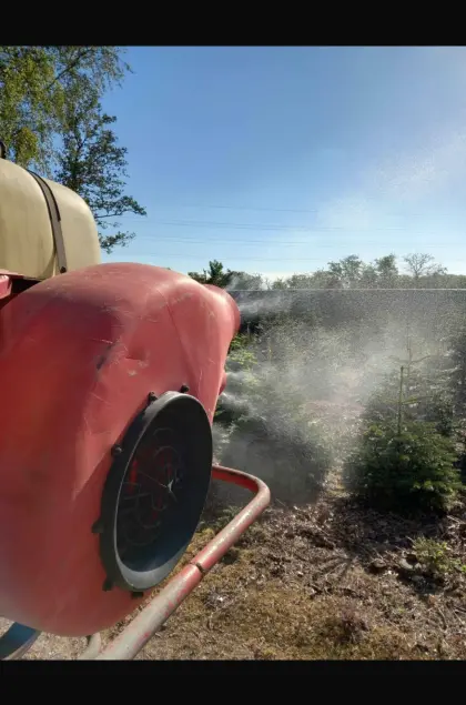 Christbaum Gebläsespritze Hardi .