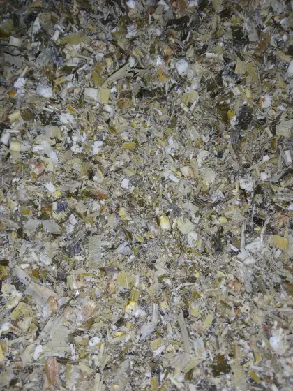 Bio Maissilageballen