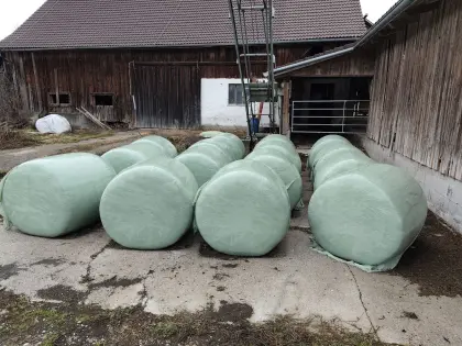 Maissilageballen