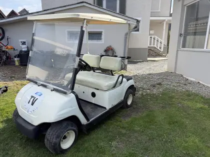 Yamaha G19E Golf Cart