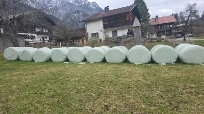 Silageballen