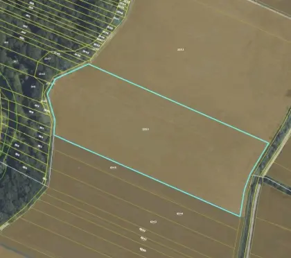 Acker in Wimpasssing/Leitha zu verkaufen!