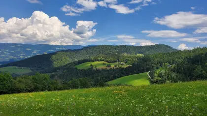 Bezirk Wolfsberg/Völkermarkt Bauernhof/Acker/Fläche gesucht