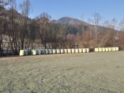 Siloballen aus der Saison 2025