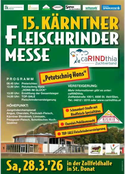 Fleischrinder Zuchttiere