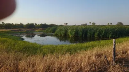 Investitionschance im Herzen Südamerikas - Paraguay