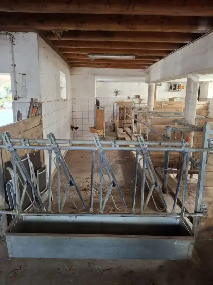 Aufstallung + Schrapper(Ausmister)