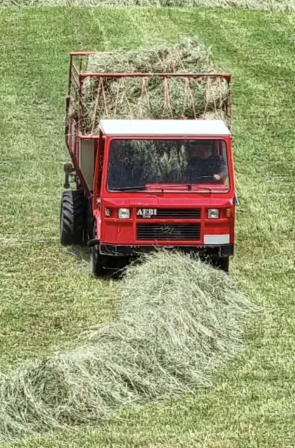 Aebi TP 65 L mit LD31