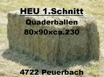 Heu 1. Schnitt 2025 Heuballen Quaderballen Pferdeheu