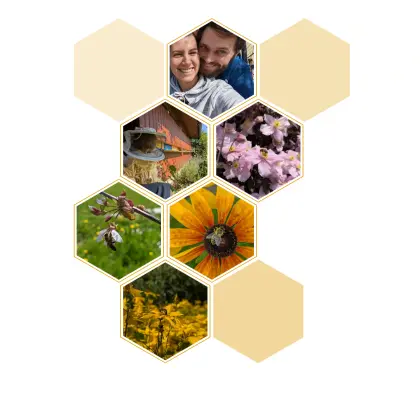 PLATZ ZUM WURZELN & ENTFALTEN GESUCHT