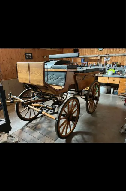 Kutsche Zweispänner