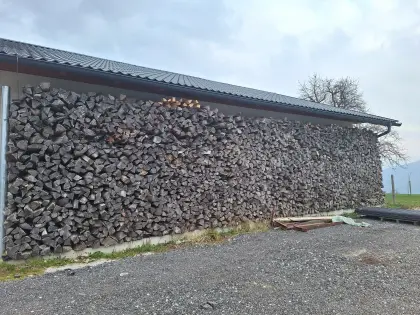 Buchenholz zum Verkauf