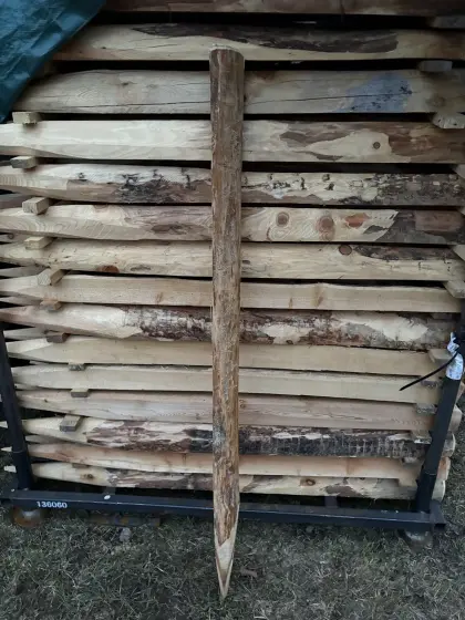 Weidezaunstempel aus Lärchenholz zu verkaufen