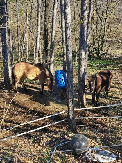 Pferdemist zu verschenken