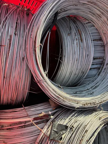 Weingarten Draht 2,2mm