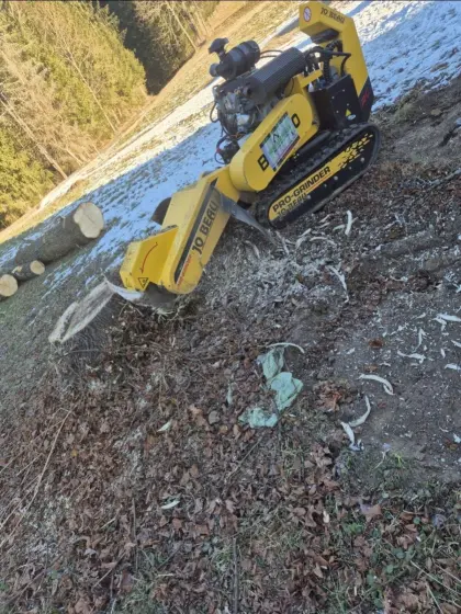 Wurzelstockfräsen, Baumstumpffräsen