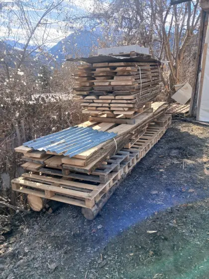 Tischler Holz Esche Kernesche