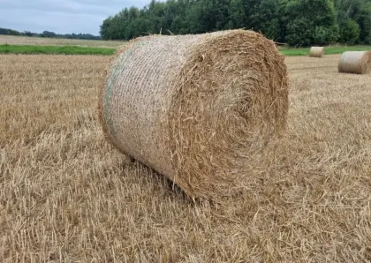 Strohballen (Rund,Quadar)