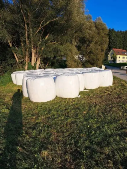 Siloballen Ernte 2025