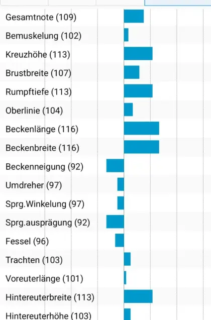 Bio Braunvieh Stierkalb Zuchtstier