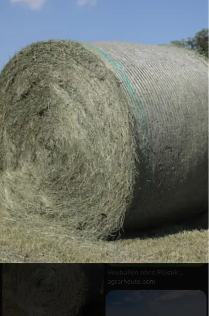 Heuballen