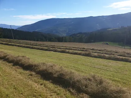 Mähflächen und Weideflächen zu vergeben