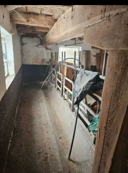 Aufstallung für Rinder