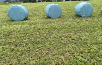 Siloballen 1., 2. und 4. Schnitt 2025