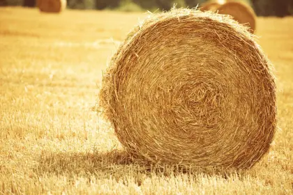 Heu und Stroh als Einstreu