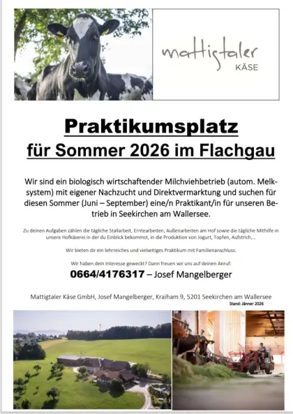 Praktikum/Praktikant Seekirchen/Flachgau/Salzburg