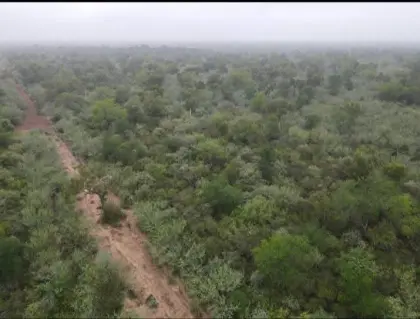 Fokus auf Investment & Zukunft 5.000 ha in Paraguay