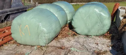 Siloballen 1 Schnitt 2025