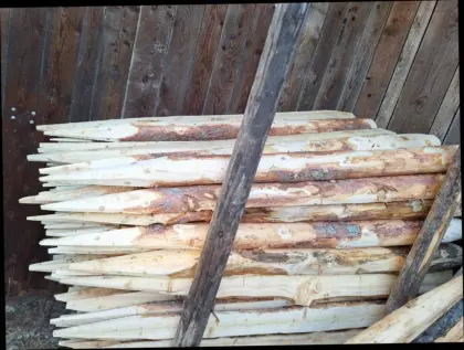 Lärchenstipfel, Stempel, Pflöcke