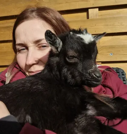 Mini-Zwergziegenbock