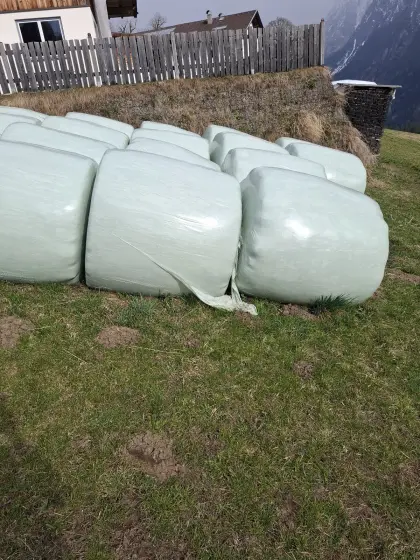 Siloballen 2. Schnitt