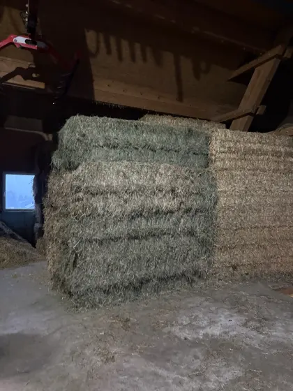 Heu zu verkaufen