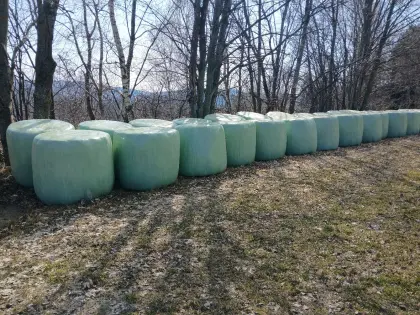 Silageballen