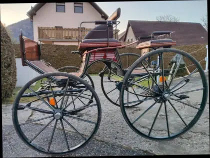 Dressurkutsche Spider Kutsche