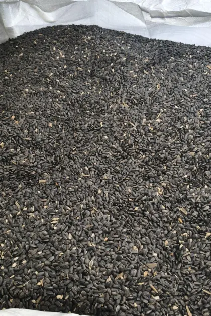 High Oleic Sonnenblumen