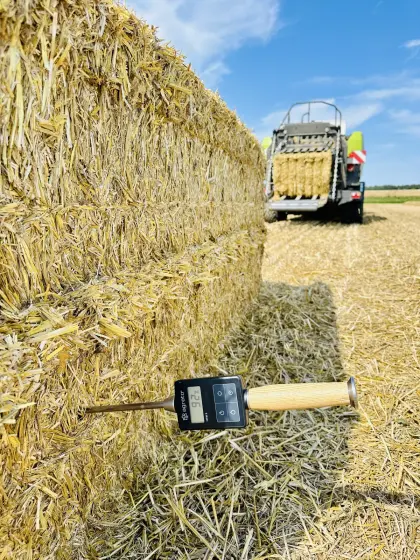 Stroh Weizen Quaderballen