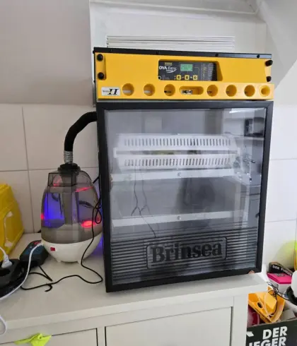 Brinsea OvaEasy II 100 Brutautomat