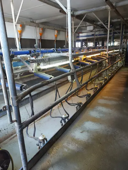 Melkstand DeLaval