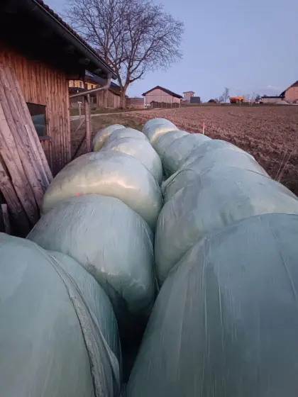 Siloballen 3. und 4. Schnitt