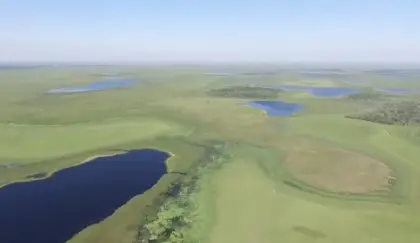 1.200 Hektar in Paraguay