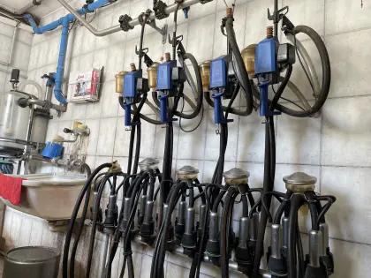 Rohrmelkanlage Komplett 30 Kühe