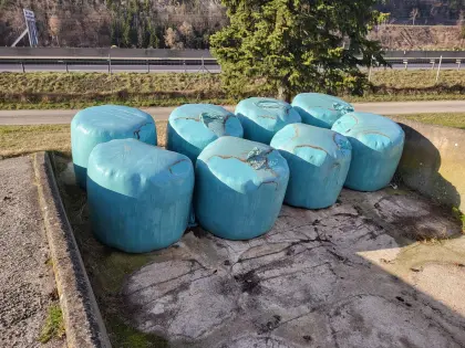 Bio Siloballen 1. Schnitt 2025