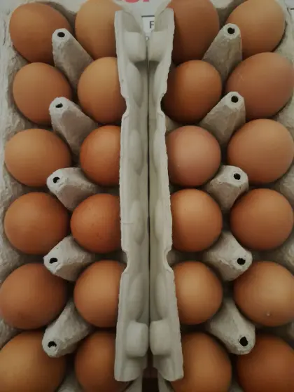 Frische Freilandeier